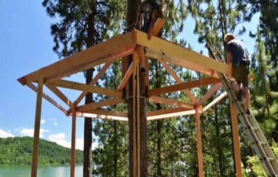 ABD deki ağaç ev görenleri hayran bırakıyor!