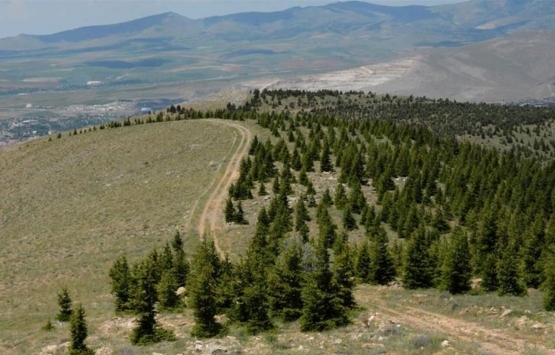 Bakanlıkça Kırşehir le ilgili açıklanan projeler TBMM de!