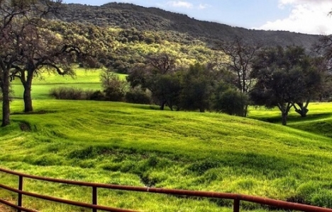 Meralara kentsel dönüşümle inşaat yapılabilecek!