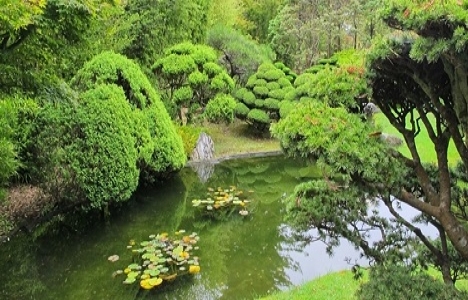 İşte dünyanın en yeşil 10 şehri!