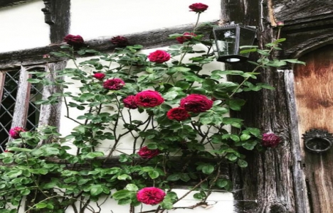 İşte Kelly Brook un merak edilen çiftlik evi!