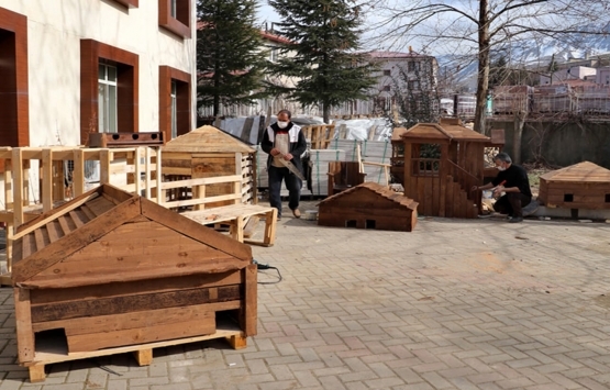 TOKİ inşaatların atık malzemelerinden sokak hayvanlarına yuva yapıyor!