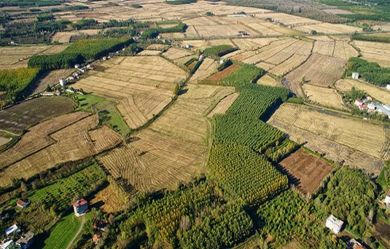 Tarımsal Arazi Edindirme İş ve İşlemleri Hakkında Yönetmelik!