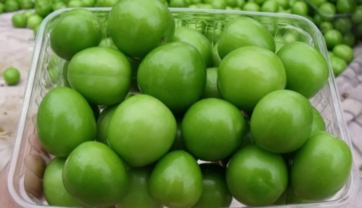 Erik tezgahlardaki yerini aldı: Tüketicilerin favori yaz meyvesi raflarda boy gösteriyor! Eriğin kilosu kaç TL?