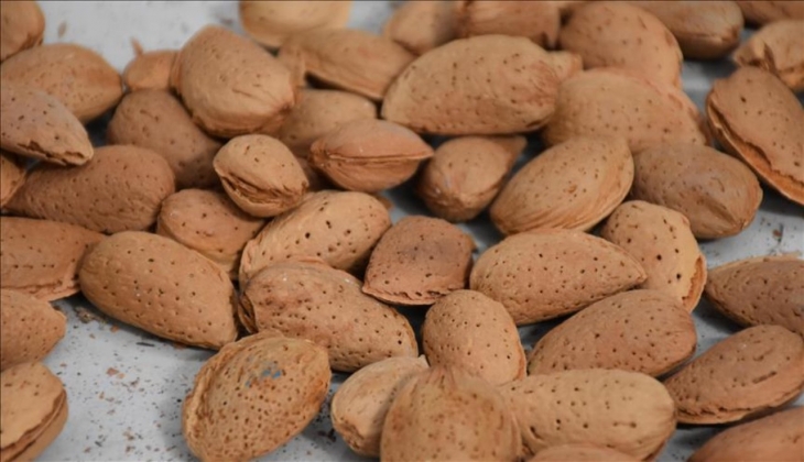 Çiftçinin gözü kulağı Tarım Kredi Kooperatifi'nde