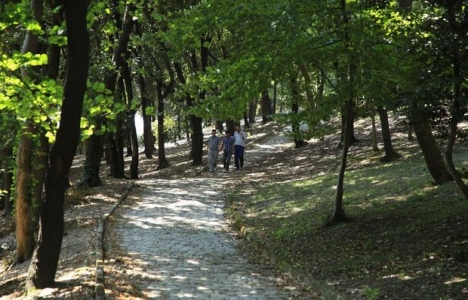 İBB 442 park projesini tamamladı!