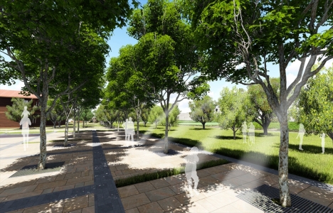 Yedikule Bostanları yeniden hayata bulacak!