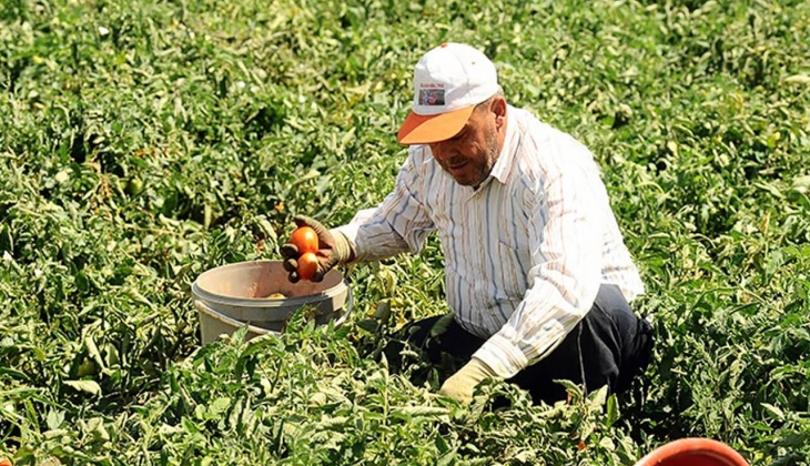 Erdoğan dan çiftçilere müjde! O ürünlerde indirime gidildi
