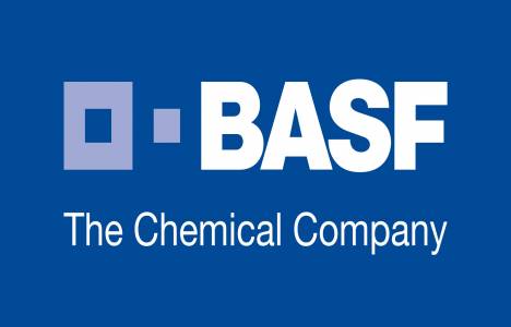 basf 2013