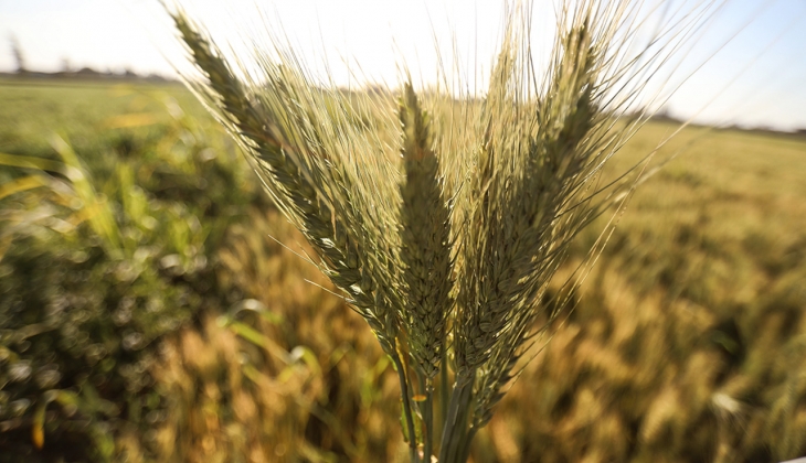 Ramazan öncesi vatandaşa ekmekten kötü haber! Zam geliyor..