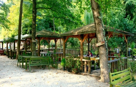 İzmir Körfez B Tipi Mesire Yeri hizmete açılacak!