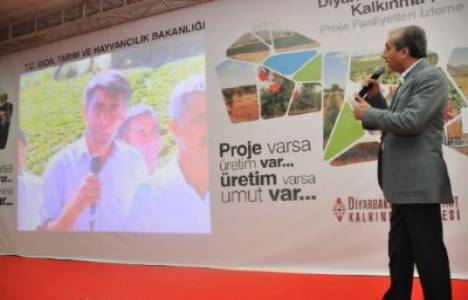 Diyarbakır-Batman-Siirt Kalkınma Projesi kapsamında 35 milyon liralık yatırım gerçekleşti!