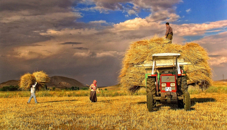 Tarımda korkunç haber, çiftçiler iki elini başlarının arasına alıp kara kara düşündü 