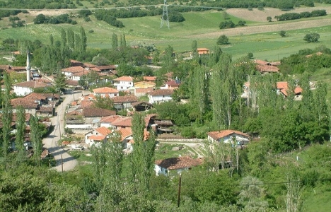 Trabzon'da 3.5 milyon TL'ye satılık 2 arsa!