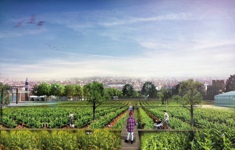 Yedikule Bostanları yeniden hayata bulacak!