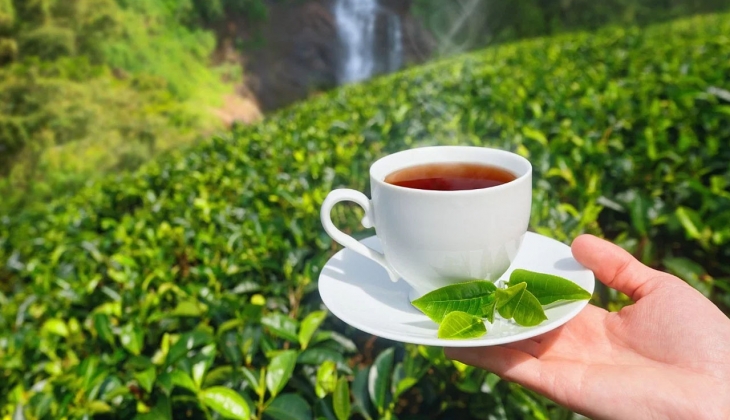 Bu iddia tiryakileri çok üzecek! Çay keyif olmaktan çıkabilir!..Rekor zam gelebilir