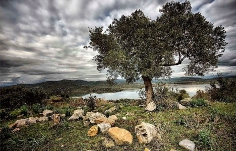 Bargylia antik kenti satılıyor mu