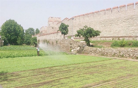 Kentler kurulurken tarım arazileri korunmalı!