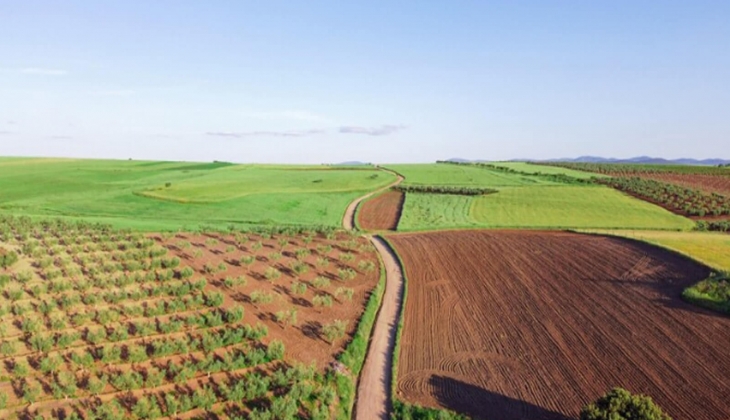 Toprak yatırımında sizi kurtaracak stratejik yöntem açıklandı. Bütçeniz olsa bile bunu yapmayın!