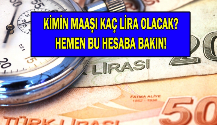65 yaş aylığı, engelli aylığı, evde bakım parası Ocak zammı hesaplandı! Kim kaç TL maaş alacak? Şimdi göz atın...