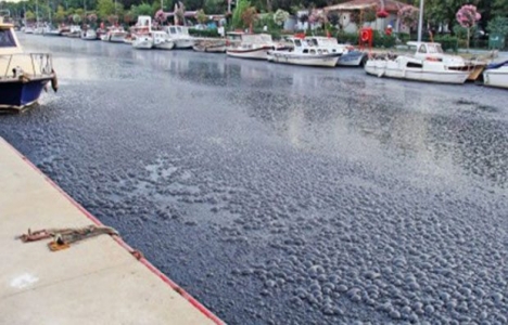 Kurbağalıdere balçıktan tamamen temizlendi! 