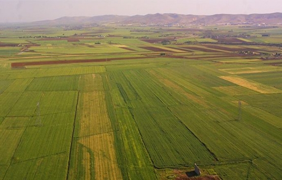İmar barışında hazine yerlerinin durumu!