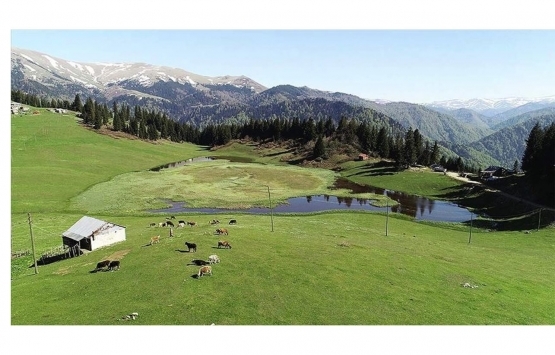 3 şehirde 15 yayla imara açıldı! Aralarında dünyaca ünlü yaylalar da var!