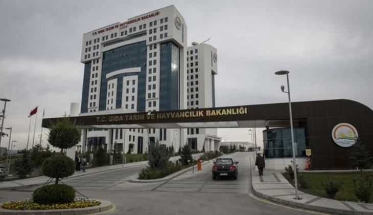 DSİ-OGM personel alımı başvuru tarihleri! Tarım ve Orman Bakanlığına 5 bin 64 personel ne zaman alınacak? İşte kadrolar…