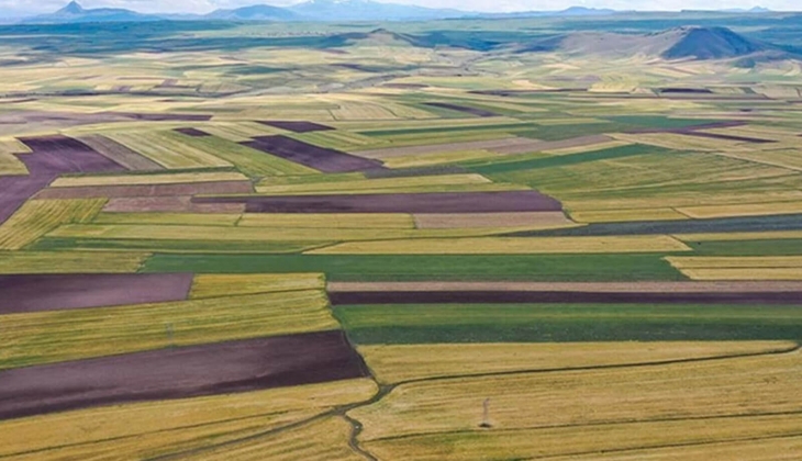 Gaziantep Nizip te 5 adet arsa satılıyor! Fiyatlar dudak uçuklattı! 