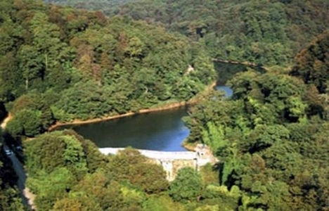 Elmalı Gölü çevresine dev şehir ormanı kuruluyor!