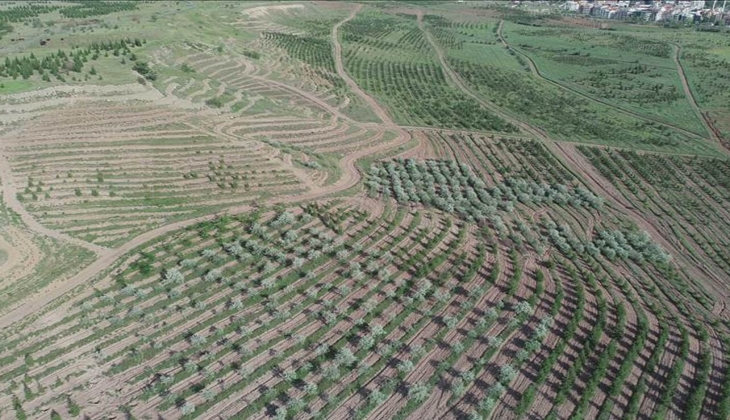 Atatürk Orman Çiftliği’nde rezidansa geçit verilmedi! Yargı imar değişikliğini iptal etti!