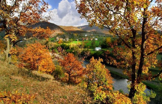 Ordu Argan Yaylası turizme kazandırılıyor!