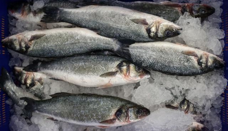 Tarım ve Orman Bakanlığı'ndan üreticiye yeni destek