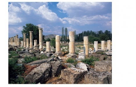 Tarihi sit alanı örnekleri