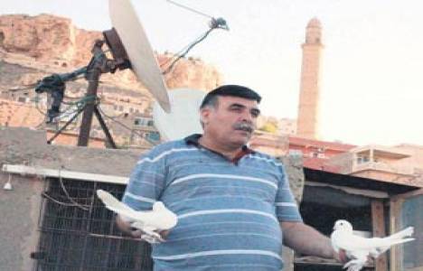 Veysi Toparlı güvercin beslemek için 5 daire tuttu!