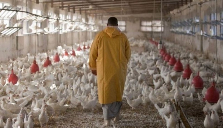 Gıda devi ünlü tavuk markası kime satıldı?