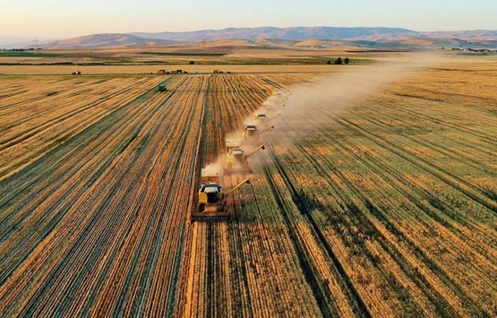 Çiftçilere müjde! Ödemeler bugün başlıyor!