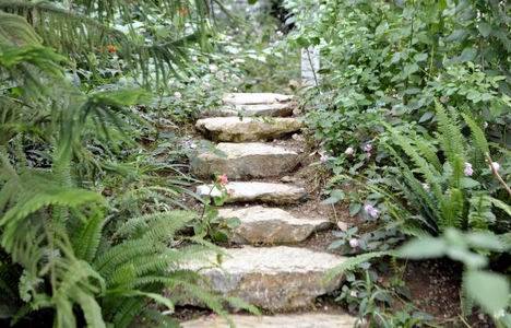 İstanbul Kelebek Çiftliği, Beykoz Zerzevatçı Köyü nde açıldı!