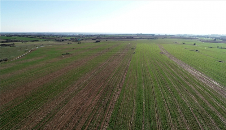 Eskişehir ve Bursa’da satılık 7 arazi!