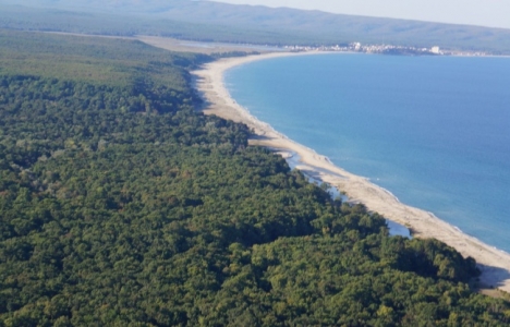 İğneada'da 3.4 milyon TL'ye satılık 2 gayrimenkul!