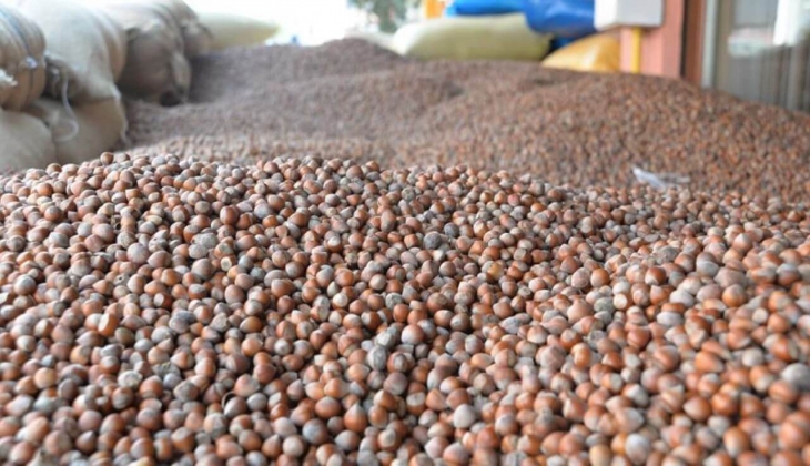 Fındık fiyatlarında sürpriz gelişme! 1 haftada tam 2 lira arttı!12 Ocak 2023 Fiyat Listesi