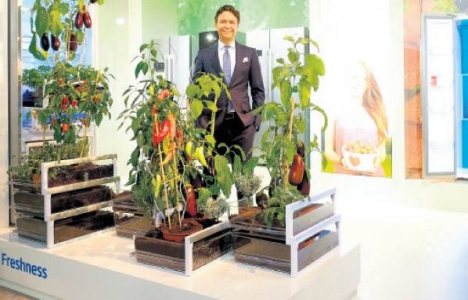 Beko, yıl sonunda ABD pazarına giriyor!