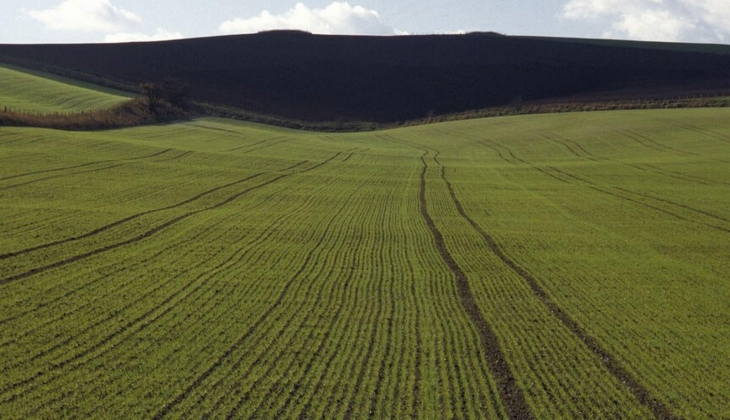 Konya, İzmir ve Manisa da 5 arsa ve 2 iş yeri satılıyor! Belediyeler tek tek tarih verdi! 