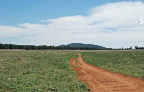 Miras kalan tarlanın satışı nasıl yapılır?