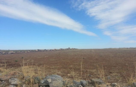 Şanlıurfa'da 4.4 milyon TL'ye satılık 6 tarla!