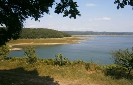 Şile Ömerli Havzası imar planı tadilatı askıya çıktı!