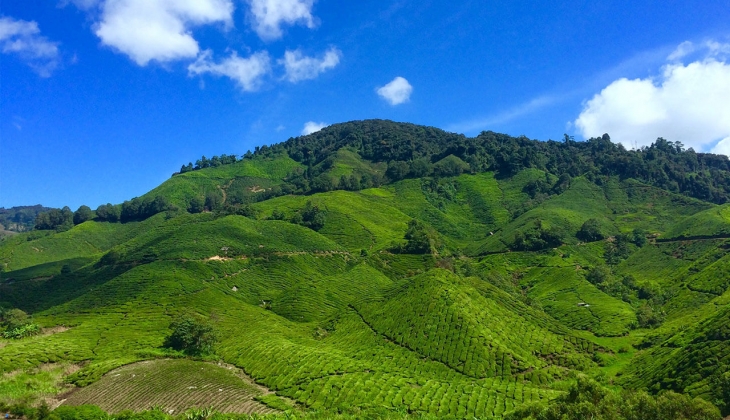 İstanbul da konut imarlı arsa satılıyor! Belediyeden Eylül fırsatı geldi! 