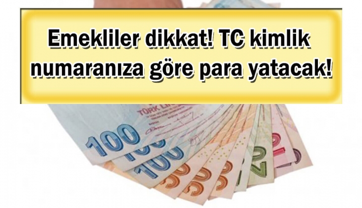 Emeklilere Temmuz 2023 müjdesi geldi! Paralar TC kimlik numarasına göre hesaplara tek tek yatırılacak! Sakın kaçırmayın!