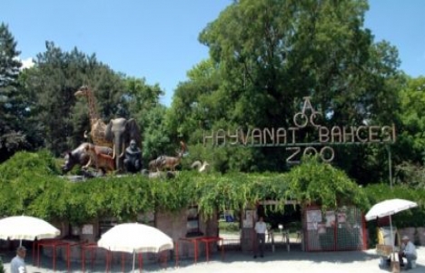 Ankara Hayvanat Bahçesi yeni yeri!