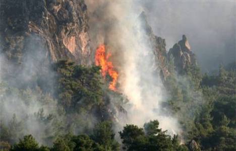 Bergama'da makilik alanda yangın!
